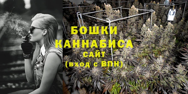 ГАЛЛЮЦИНОГЕННЫЕ ГРИБЫ Арсеньев
