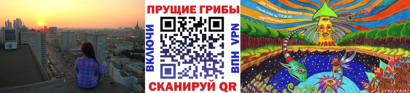 дарнет шоп  Малоархангельск  Псилоцибиновые грибы Psilocybine cubensis 