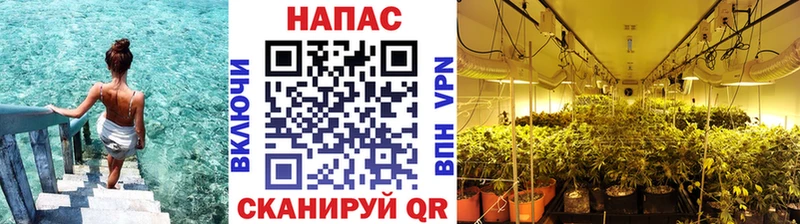 Бошки Шишки ГИДРОПОН  Малоархангельск 